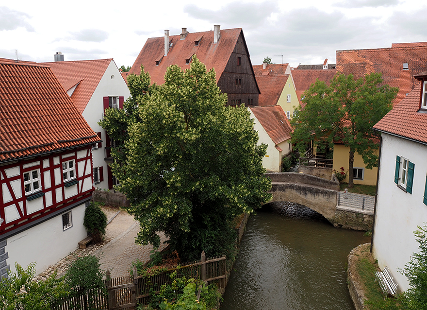 Blick von der Stadtmauer in das denkmalgeschützte Ensemble „Altstadt Nördlingen“ (Foto: BLfD/David Laudien)